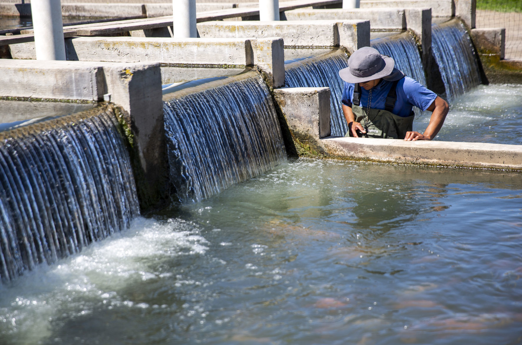 Aquaculture industry takes a hit with coronavirus closures